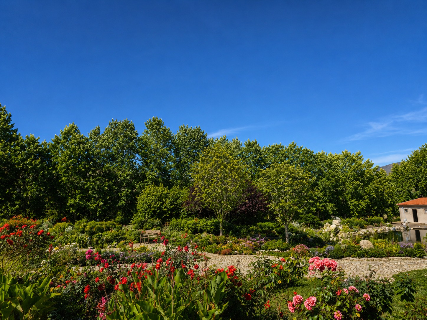 Mature flowering gardens in full summer sun with wooded hills behind